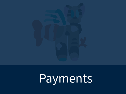 ✦ Payments [5/5] 
