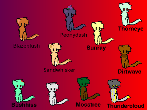 Warrior Cat Adoption!