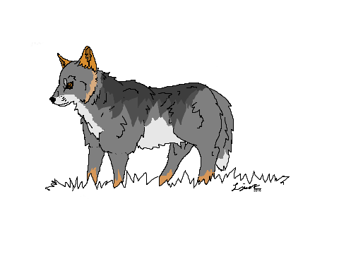 Free Wolf Lineart remix