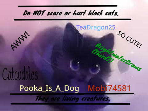Stop Black Cat Abuse Petition PLEASE!