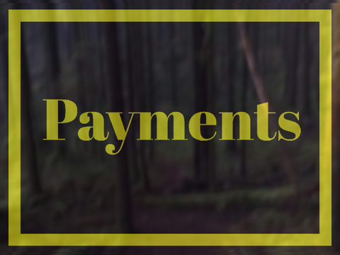 [] Payments [] 4/4 []