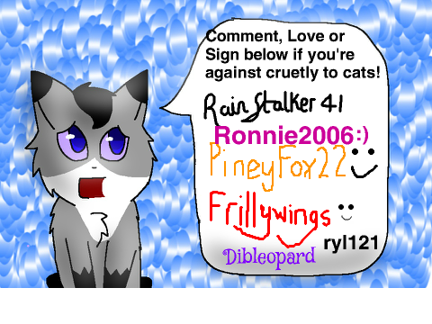Stop Cat Cruelty! :( Forever!  remix remix