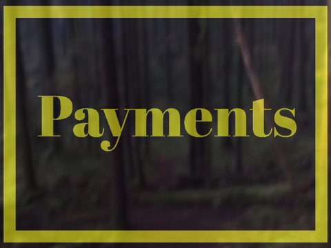 [] Payments [] 4/4 []