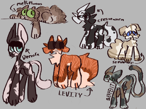 wc designs ?? Practice yay