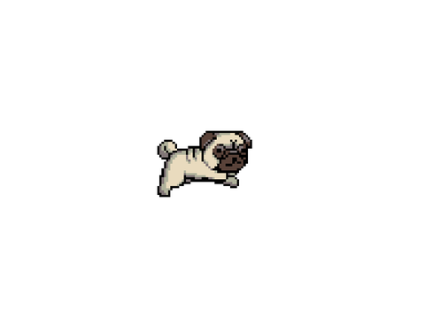 Just a pug running. Nothing special.