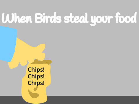 When Birds steal your stuff