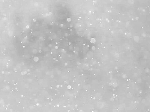 * Vivaldi: Winter Greyscale Map * OPEN!
