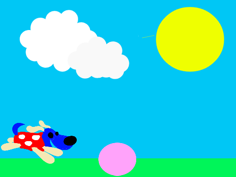 dog goes to run