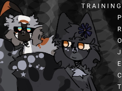 quailpaw's training project