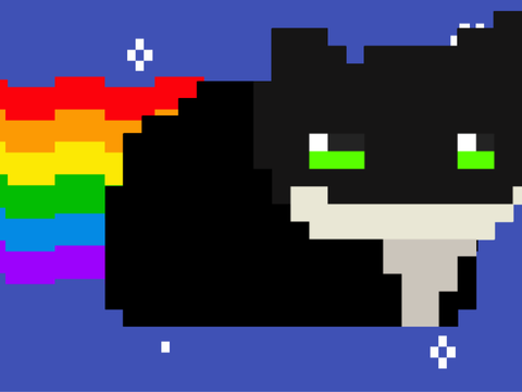 Maxwell Cat! 