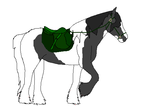 AT with @horsey_girl_1243