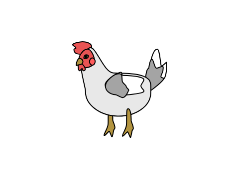 interactive chicken