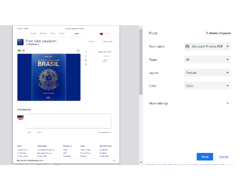 I made a fake passport guys!