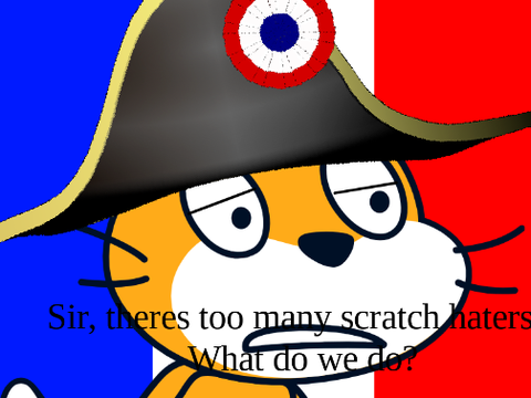 Napoleon Scratch Cat