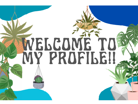 Welcome To My Profile!!