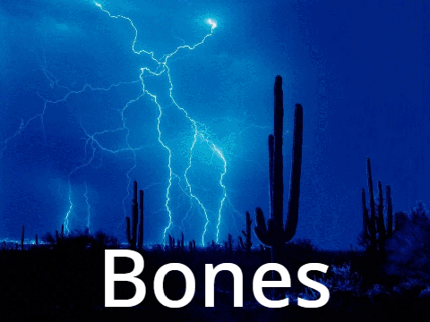 Bones Keyboard Cover