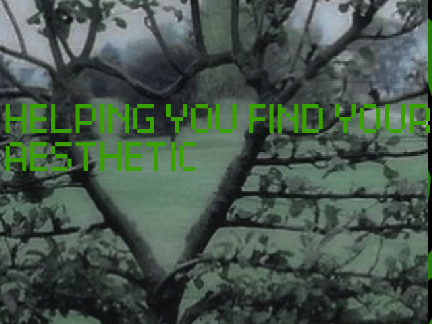PT 1: Helping you find your aesthetic 