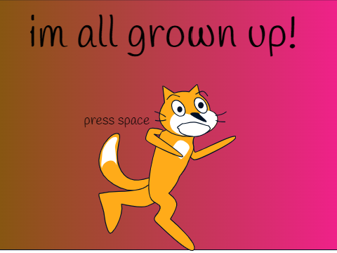 scratch cat transformation