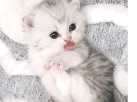 Playful Music!