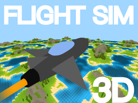 Flight Simulator