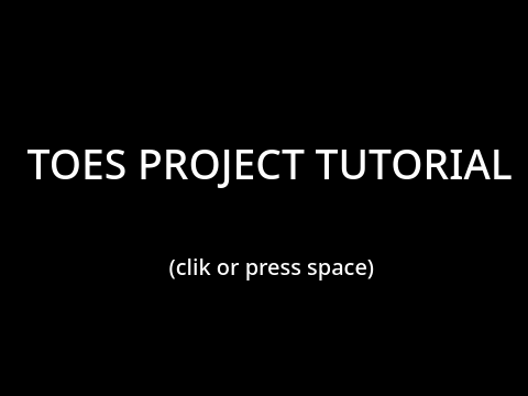 Toes Project tutorial
