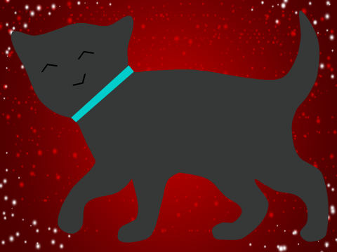 cute cat