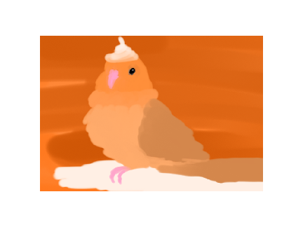 Bird entries