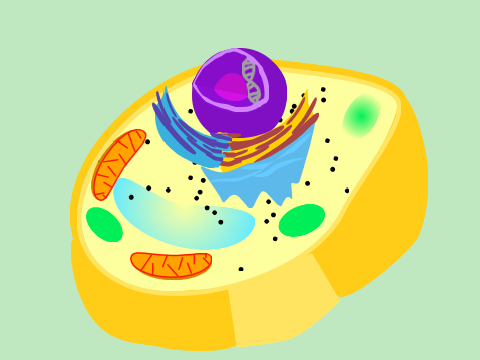 Plant Cell Project