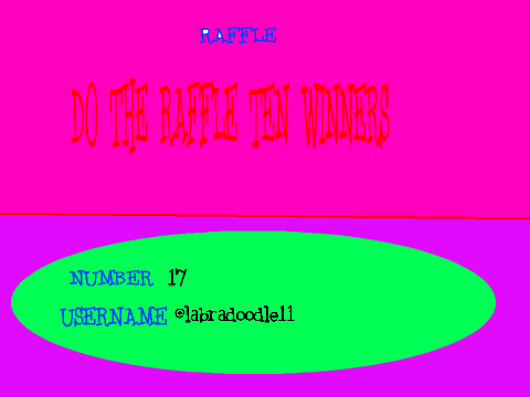 RAFFLE PLEASE REMIX remix