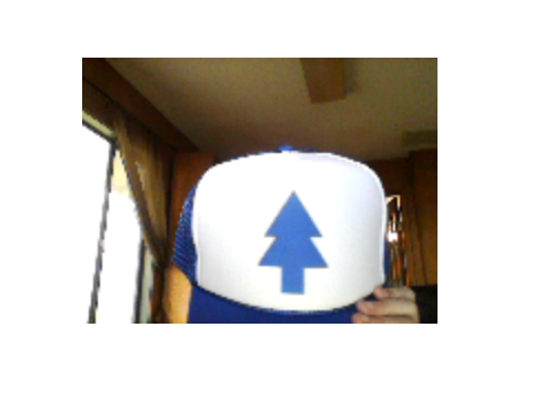 I GOT A DIPPER HAT FOR CHRISTMAS!