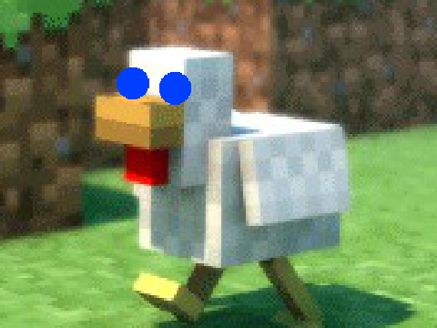 BLUE EYED CHICKEN