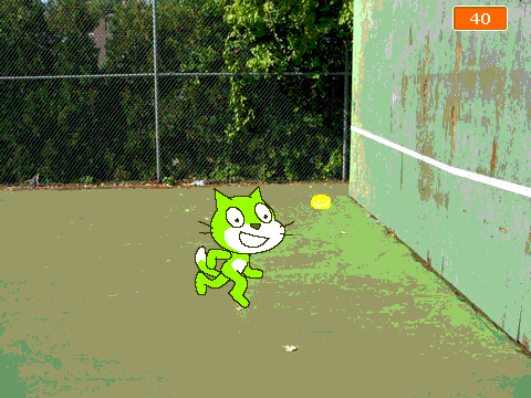 enRG cat