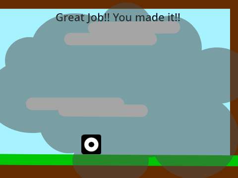  A platformer