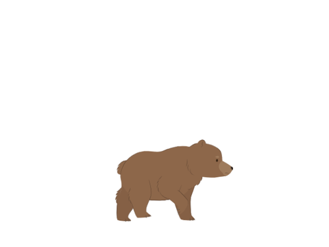 bear Sence