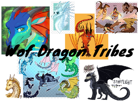 Wof Dragon Tribes