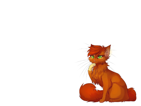 Warrior cats quiz