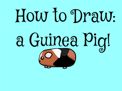 How to Draw: a Guinea Pig! /)'w'(\