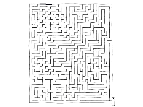 Maze