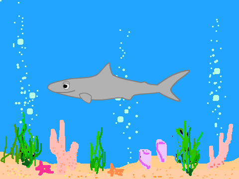 Animated shark, free to a good home!