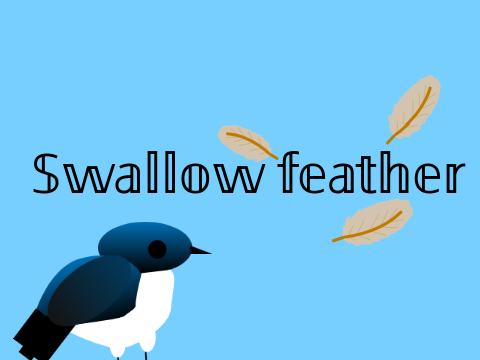 Swallow feather intro