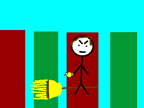 Quidditch game with Harry and Cedric
