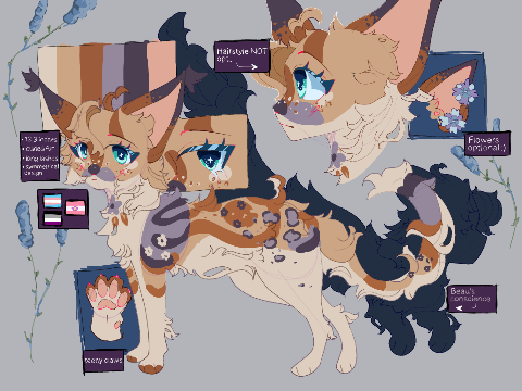 2023-2024 彡 beautyBLISS??? reference