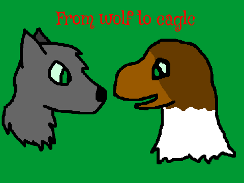 Wolf-Eagle animation FINISHED 