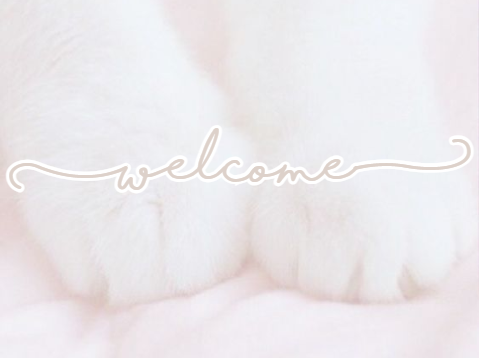✩ welcome