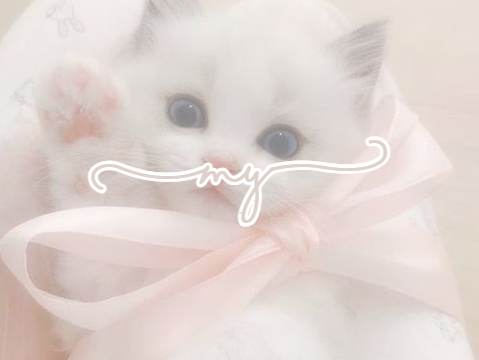 my