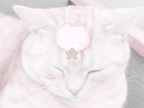 ✩