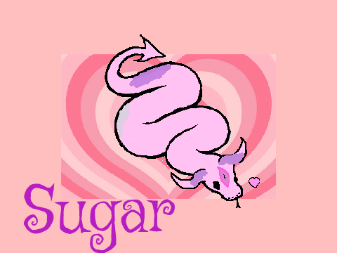 Sugar! :3