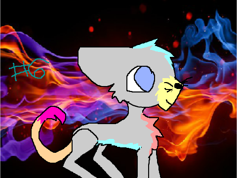 Cat DTA  Entry #6