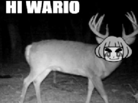 This is Cursed... 0_0