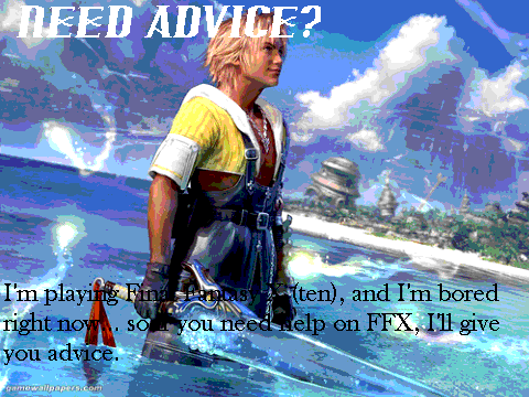 Final Fantasy X Advice...